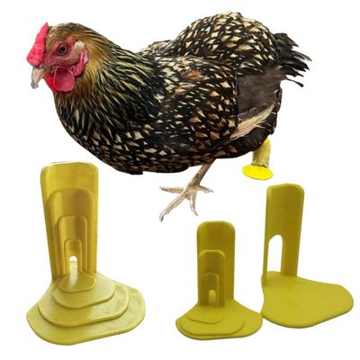 4Pcs/Set Chick Splay Leg Brace Hobble Splint Poultry First Aid Essential Duck Leg Splint for Baby Chicks Goslings And Juvenile Birds