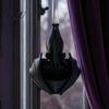 Alternative Gardening Accessories Hanging Bat Planter, Gothic Plant Pot, 3D Printed Unconventional Garden Supplies Halloween Planter for Trailing