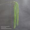 Asparagus Fern & Willow Buds Greenery for Wedding Decor & Landscaping