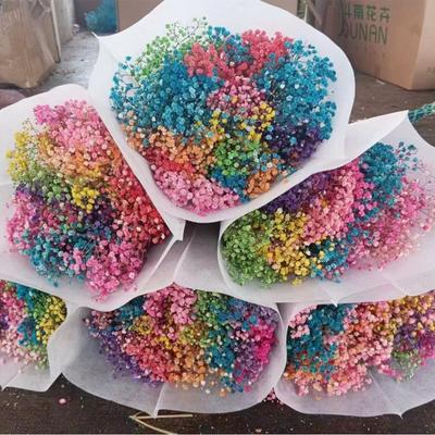 Aeonium Bouquet Dried Flowers Vibrant Color Non-fading Easy Maintenance Natural Dried Gypsophila Valentine's Day Decoration Scene