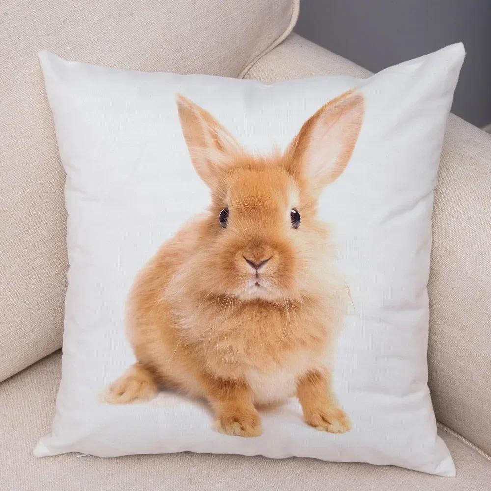 Home Sofa Kids Room Decor Cute Pet Animal Print Cushion Cover Pillowcase  Rabbit