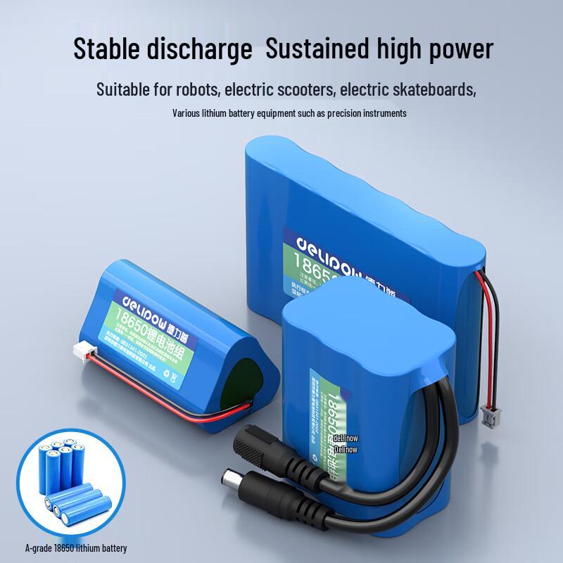 Delipow 18650 Rechargeable Lithium Battery Pack CN plug (adapter included)