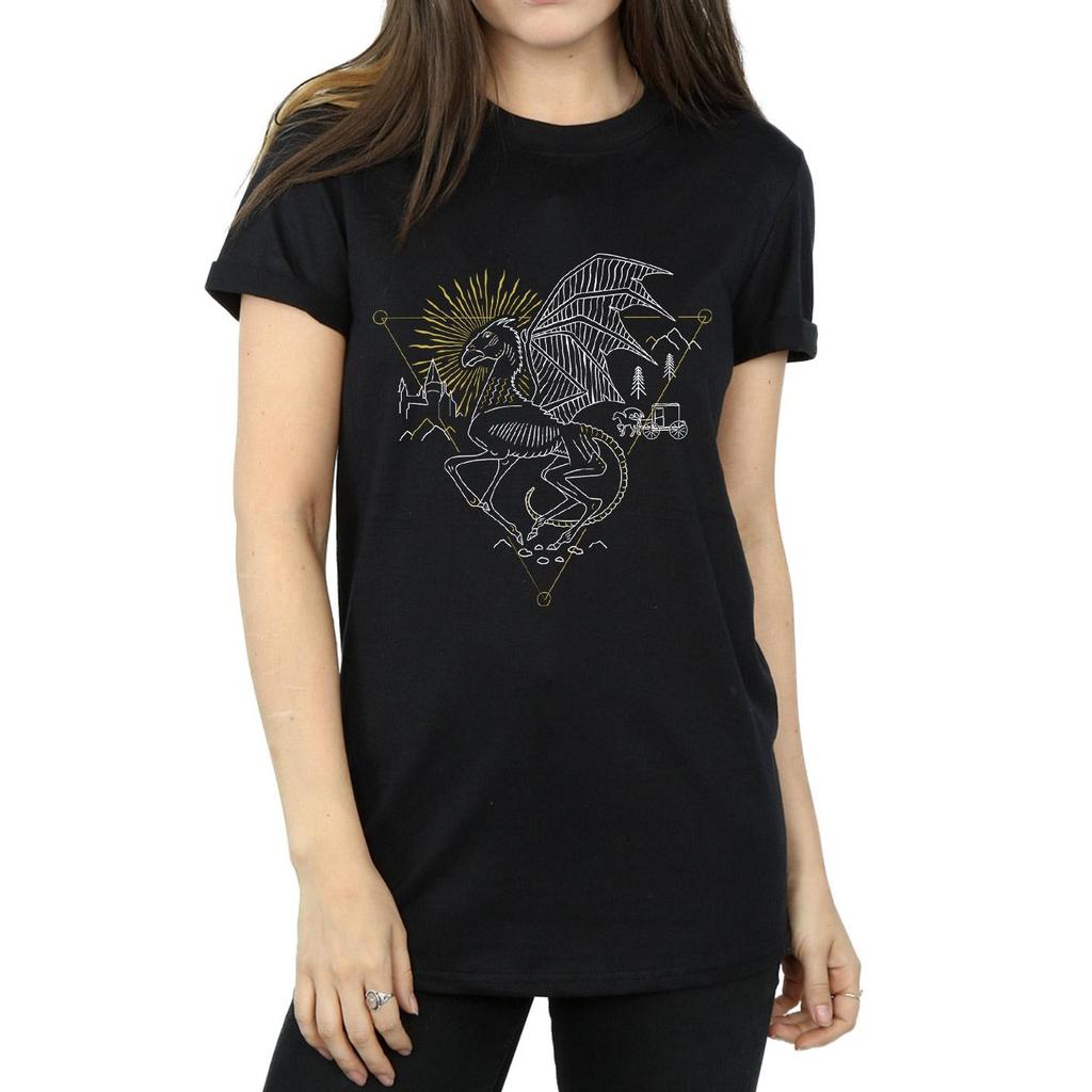 Harry Potter Womens/Ladies Thestral Line Art Cotton Boyfriend T-Shirt