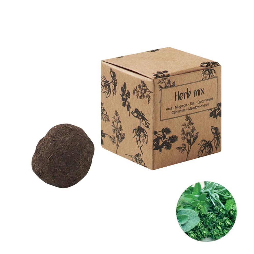 MidOcean Bombi III Herb Bomb Seed Growing Kit
