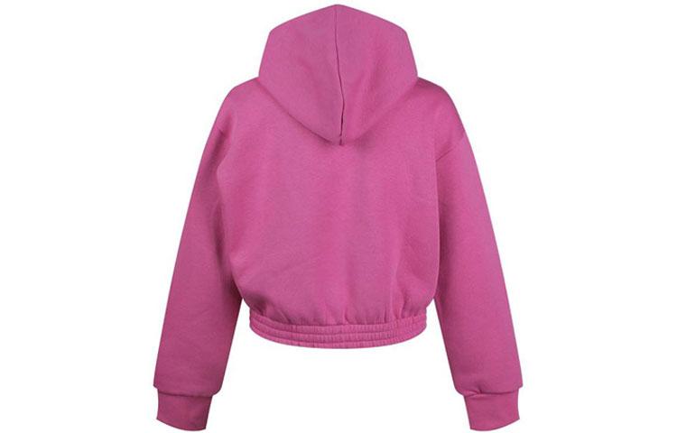 Nike Sweatshirts Women's Purple Hooded Moderate Regular CJ2035-691
