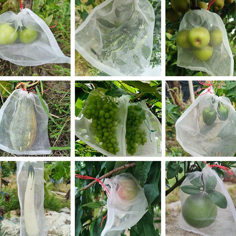 Nylon Insect-Proof Seed Breeding Mesh Bag