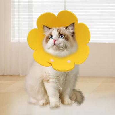 Kedi – Kedi Boyunluk ve Tasmaları