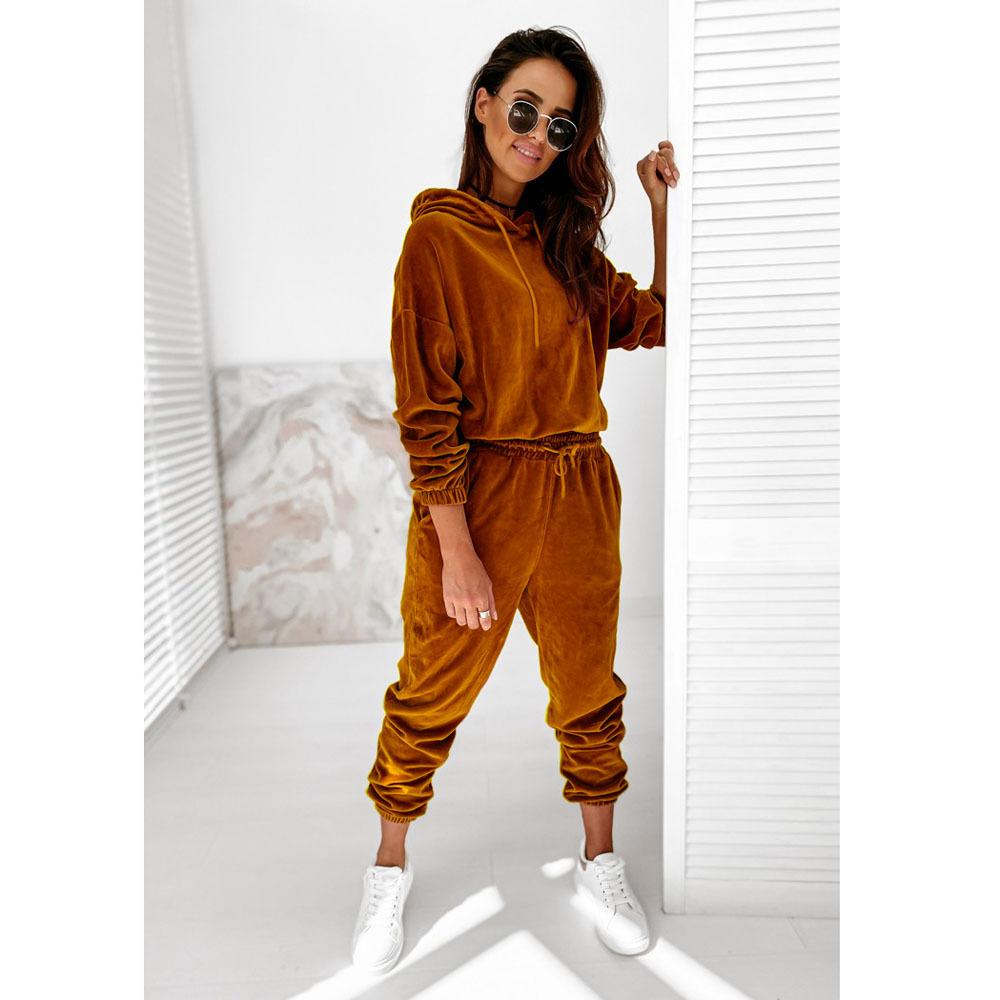 Velvet Material Women 2 Piece Set Casual Sport Outfits Tracksuit Hoodies Sweatshirt+Pants Spring Sportswear Running Sets