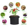 Grow Bags Multipurpose Nonwoven Fabric Pots Outdoor Plant Containers Suitable for Vegetables Fruits Flowers and Herbs