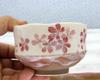 Craftsman House Matcha Bowl Small high x 10cm Made in Japan (Cherry Blossom), (6.5cm diameter),