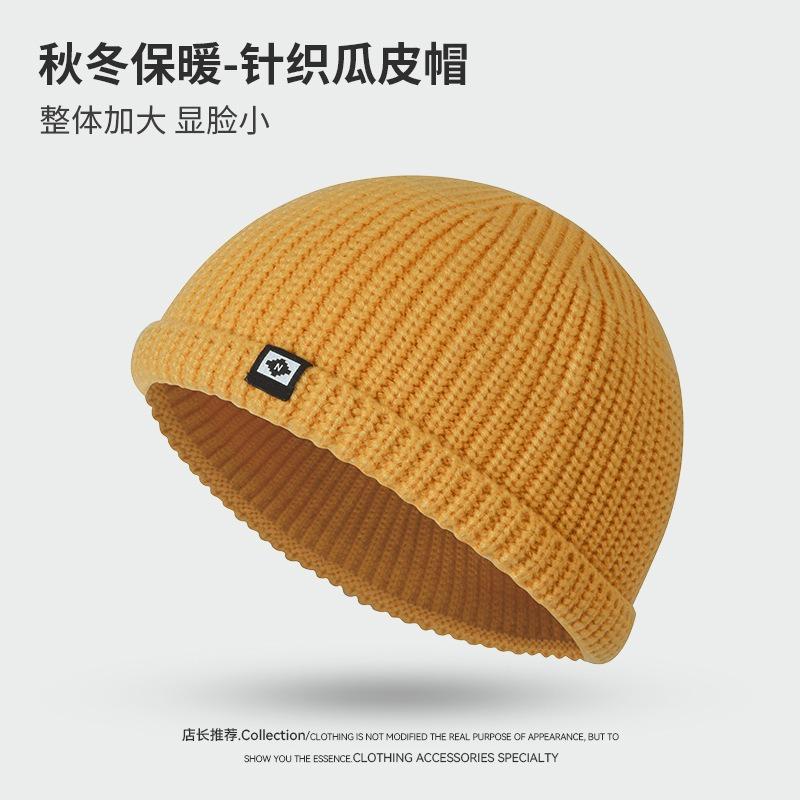 Patch small label wool hat casual versatile short brim street hip hop men's autumn and winter trendy melon rind hat