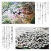 MISITU Micro Piece Jigsaw Puzzle, 1000 Pieces, Landscape Painting, Flower Garden, Nature, Gift, Birthday, Christmas, Stylish Interior, Mountain Cabin
