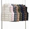 Autumn and winter glue-pressed craft cotton vest, women's stand-up collar sleeveless vest, one piece outside the stall