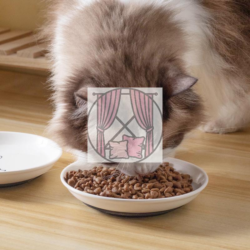 Pratos de Cerâmica para Gato com Almofada Antiderrapante de Silicone Tigela para Lanche de Gato de Estimação Tigela Bonita para Comida de Gatinho Tigela para Água de Gatinho de Estimação Suprimentos para Animais de Estimação