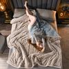 Thick Winter Warm Super Soft Flannel Blanket