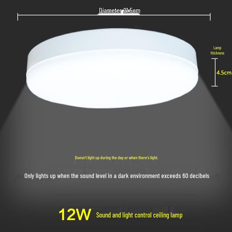 Lishi Sound & Motion Sensor Rechargeable Ceiling Light