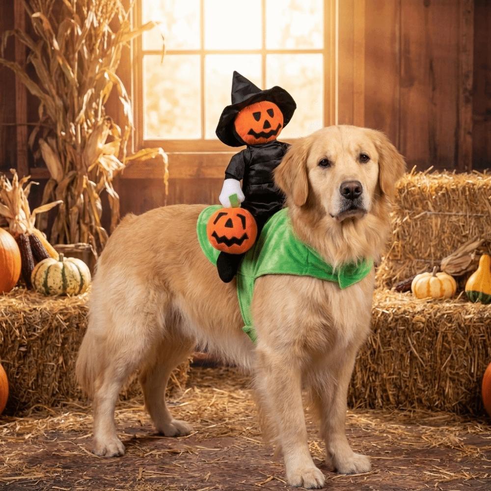 Standing Style Black Hat Pumpkin Pet Clothing Ghost Face Pumpkin Dog Cosplay Clothes Halloween
