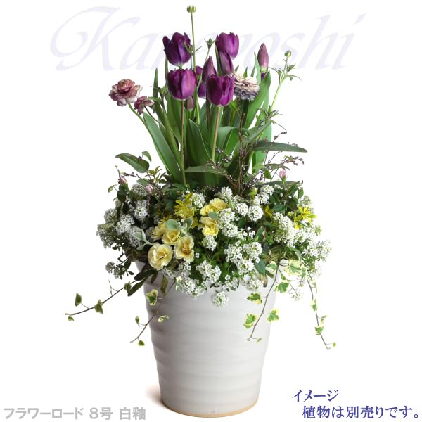 Mikawa Ware KANEYOSHI Ceramic Flower Flower White Size Made in Reliable Domestic Quality Pot, Road, Glaze, 8, Japan,