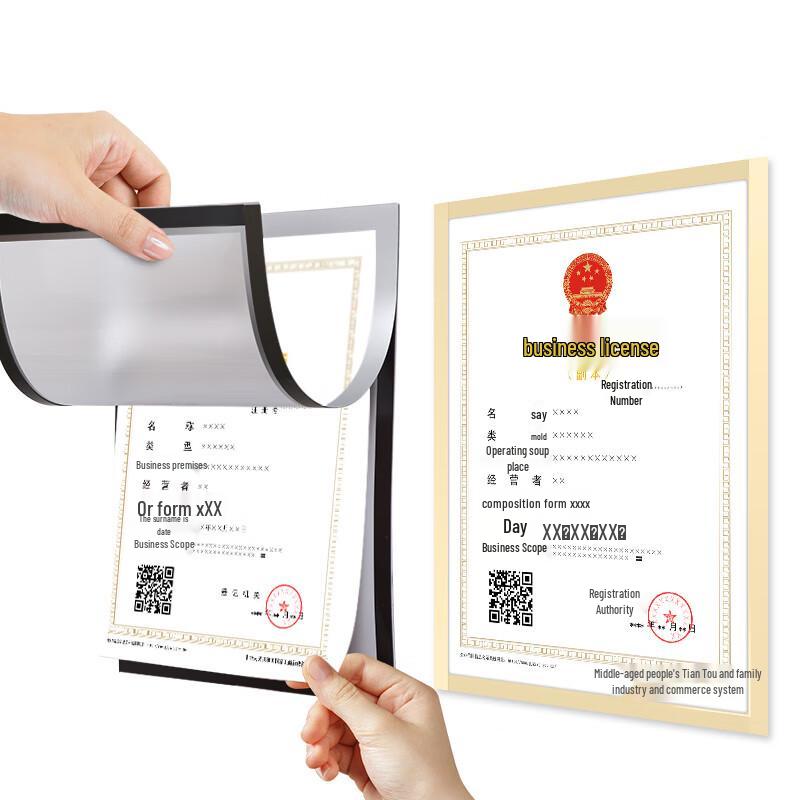 Magnetic Document Display Frames