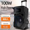 SANSUI A15 Outdoor Portable 15-inch Trolley Speaker with Microphone CN Plug (adapter Included)