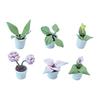 2PCS 1:12 Dollhouse Furniture Accessories Scenery Decoration Mini  Plants Small Flower Pots Interior Decoration Clay