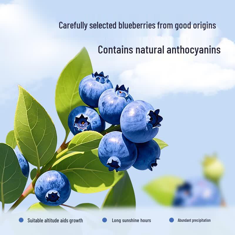 NINGANPU Blueberry Original Juice