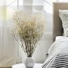 Gipsówka Stabilizowana - (Gypsophila) - Naturalna Biała