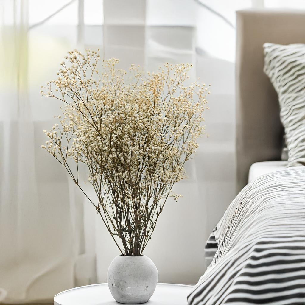 Gipsówka Stabilizowana - (Gypsophila) - Naturalna Biała
