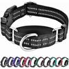 Martingale Collar for Dogs Reflective Nylon Puppy Dog Collar with Quick Release Buckle Adjustable Training No Slip Dog Collar (X-Small, Black)