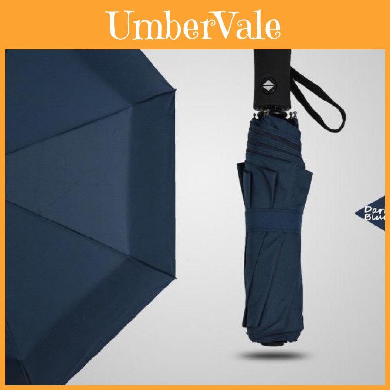 Sleek Black 10 Ribs Compact Folding Umbrella With Auto Open Close Feature