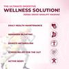 Jeena Sikho Amalpit Nashak Herbal Wellness Capsules With Jeera Pudina Hing Ayurvedic Digestive Care 60 Capsules