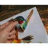 Anti-Collision Window Clings Bird Alert Collision Decals To Prevent Bird Strikes On Window Glass - Set of 12 Hummingbirds