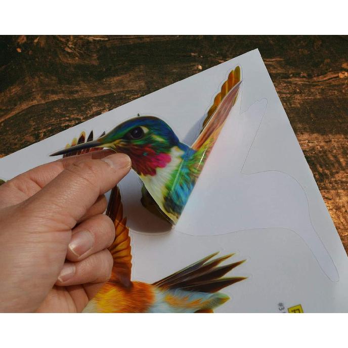 Anti-Collision Window Clings Bird Alert Collision Decals To Prevent Bird Strikes On Window Glass - Set of 12 Hummingbirds