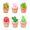 Charming Resin Miniature Succulent Moss Garden Ornaments Diy Desktop Decorations