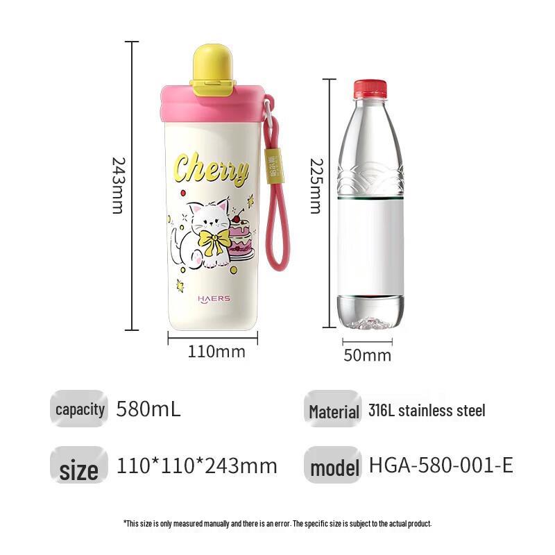 HAERS Meow Meow Dessert 580ML Insulated Straw Bottle