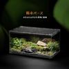 MUYYIKA Reptile Cage, Breeding Box, Reptile Box, Breathable Acrylic Feeding Box, for Lizards, Snakes, Scorpions, Spiders, Turtles (20x15x10cm)