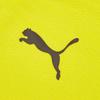 Puma Bvb Warm Up Jacket 'Yellow' Men's 758582-01