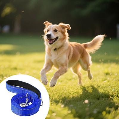 Duty Dog Leash for Large Reflective Nylon Medium Dogs Pet Lead with Soft Padded Handle