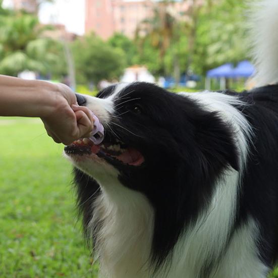 Dog Sausage Chew Toy Dental Health Pet Toy Mental Stimulation Treat Dispenser Interactive Puppy Toy for Aggressive Chewers Small Medium Large Dogs