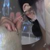 Micro-inlaid Design Sense Pure Desire Sweet Light Luxury Butterfly Zircon Earrings Fairy Style Simple Fashion Hollow Exquisite Stud Earrings Woman