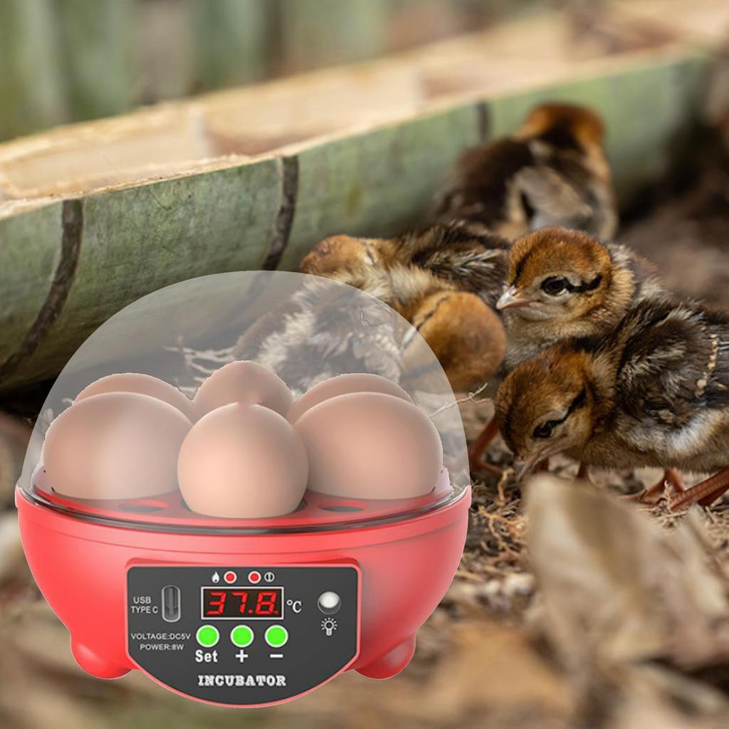 USB Egg Incubator Automatic Chick Incubator with LED Light Egg Display Small Egg