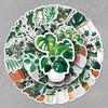 50pcs Cartoon Plant Stickers for Notebook, Water Bottle, Phone, and Suitcase - Waterproof and Cute.