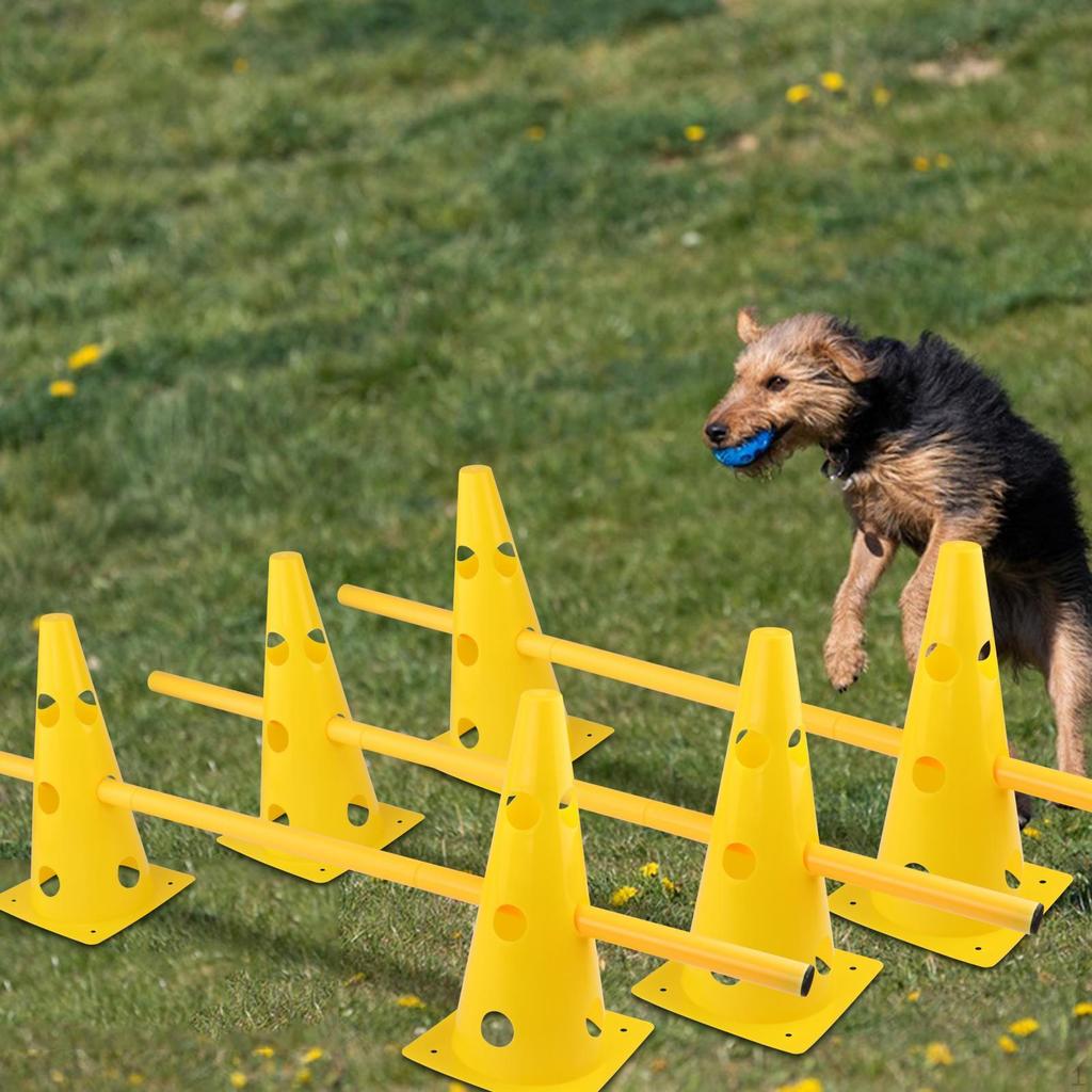 Ensemble de cônes et barre d'obstacles d'agilité pour chien pour sauts d'exercice football
