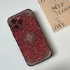 Persian Carpet Phone Case For Iphone 16 15 11 13 14 Pro Max 7 8 Plus X Xr Xs Max 12mini Black Shell Cover Case