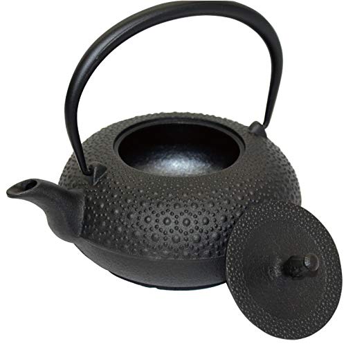 Oigen Nanbu Ironware Iron Kettle, Shinonome Kikko Pattern, 1.0L, IH Compatible, H-200