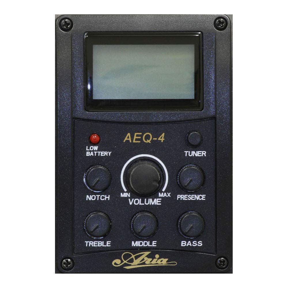 LEGEND N Electric Acoustic Guitar Natural Cutaway Model Legend FG-15CE