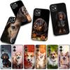 Corgi Dachshund Dog Phone Cover for Samsung Galaxy S25 S24 S22 S23 FE Ultra Plus A56 A05 A06 A15 A16 A55 S7 Edge Case
