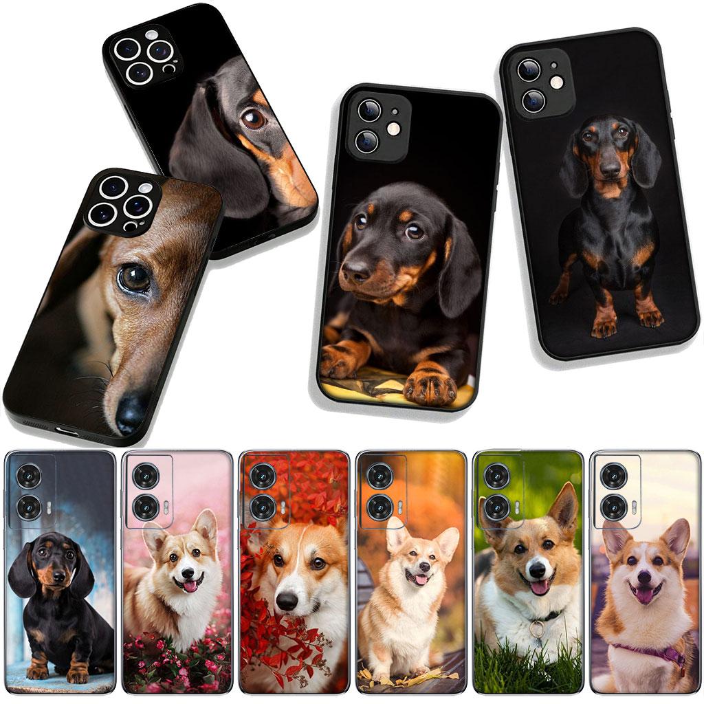 Corgi Dachshund Dog Phone Cover for Samsung Galaxy S25 S24 S22 S23 FE Ultra Plus A56 A05 A06 A15 A16 A55 S7 Edge Case