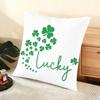 St. Patrick'S Day Design Cushion Cover Soft Short Plush Pillow Cover Smooth Cozy Texture Aesthetic Cushion Case Home Decor