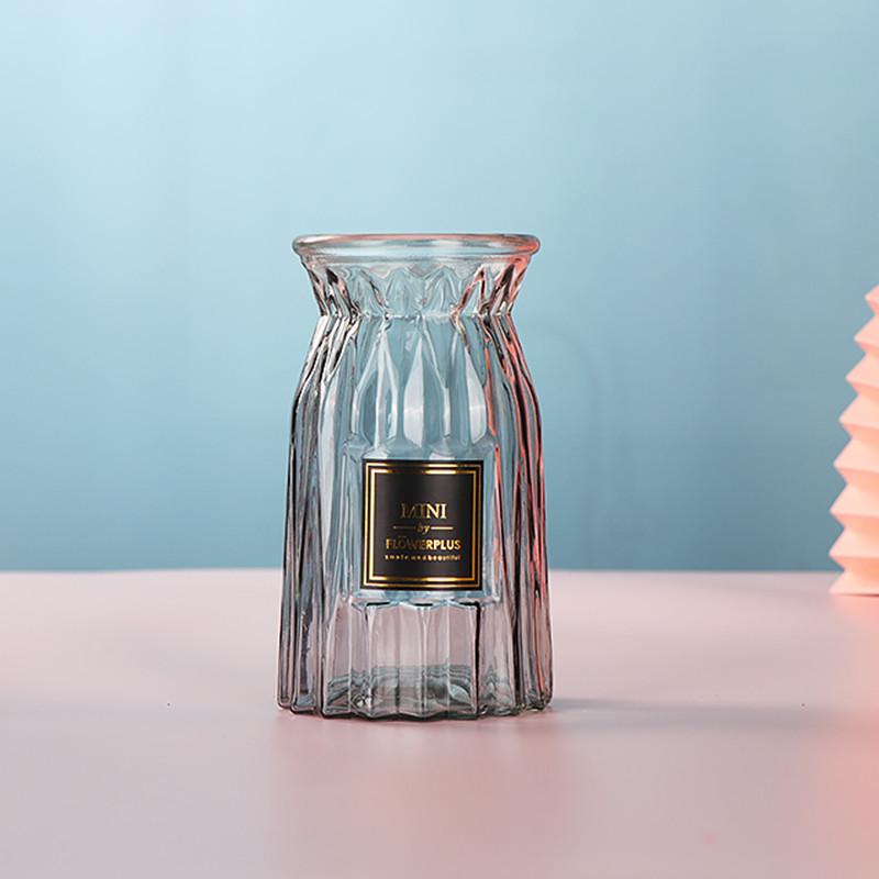 European Glass Vase for Fresh or Dried Flowers - Simple, Creative Home Decor Ornament
